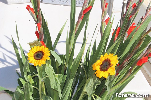 Da de Todos los Santos - Totana 2018 - 206