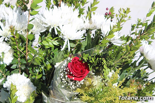 Da de Todos los Santos - Totana 2018 - 219