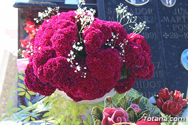 Da de Todos los Santos - Totana 2018 - 238