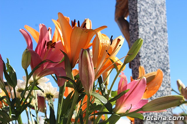 Da de Todos los Santos - Totana 2018 - 241