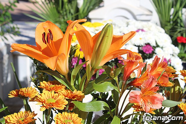 Da de Todos los Santos - Totana 2018 - 269