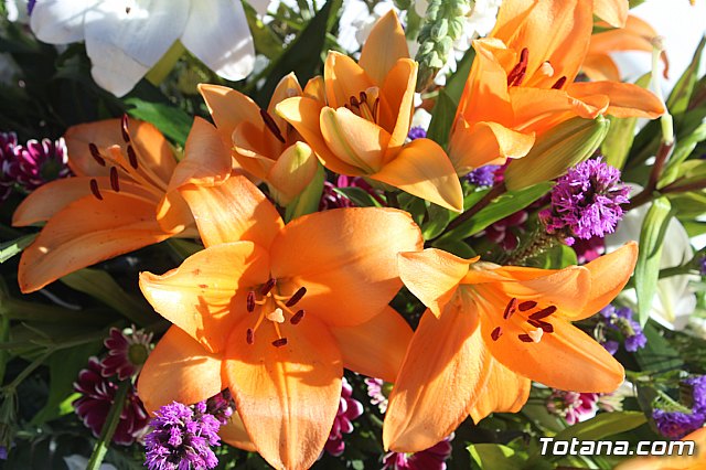 Da de Todos los Santos - Totana 2018 - 307