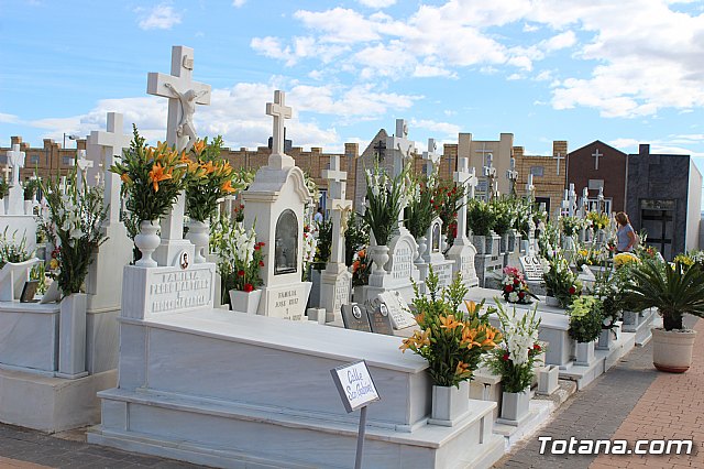 Da de Todos los Santos y Fieles Difuntos 2019 - 78
