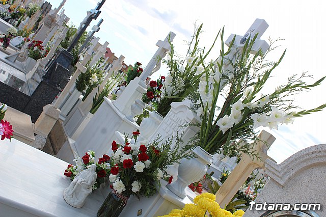 Da de Todos los Santos y Fieles Difuntos 2019 - 117