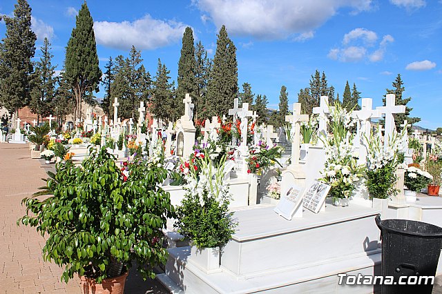 Da de Todos los Santos y Fieles Difuntos 2019 - 163