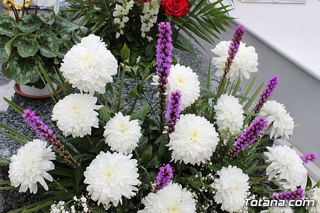 Da de Todos los Santos y Fieles Difuntos 2019 - 276
