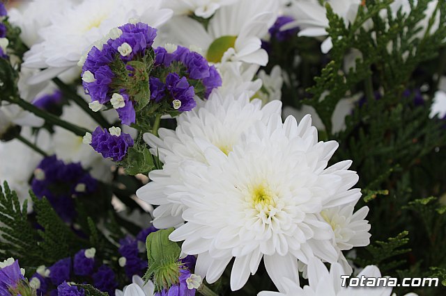 Da de Todos los Santos y Fieles Difuntos 2019 - 298