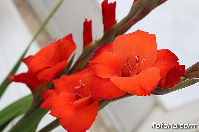 Da de Todos los Santos y Fieles Difuntos 2019 - 301