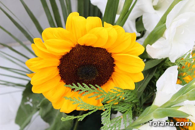 Da de Todos los Santos y Fieles Difuntos 2019 - 307