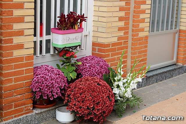 Da de Todos los Santos y Fieles Difuntos 2019 - 318