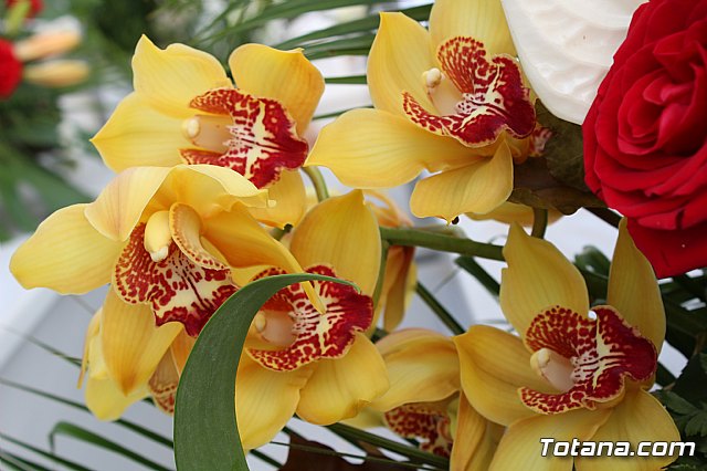 Da de Todos los Santos y Fieles Difuntos 2019 - 352