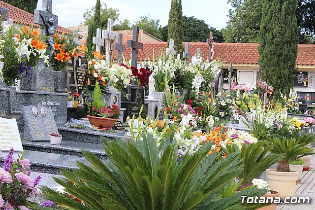 Da de Todos los Santos y Fieles Difuntos 2019 - 388