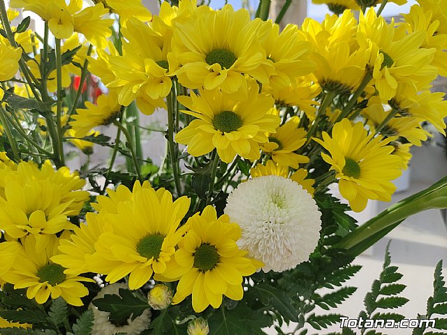 Da de Todos los Santos 2021 - 66