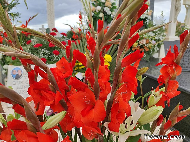 Da de Todos los Santos 2021 - 165