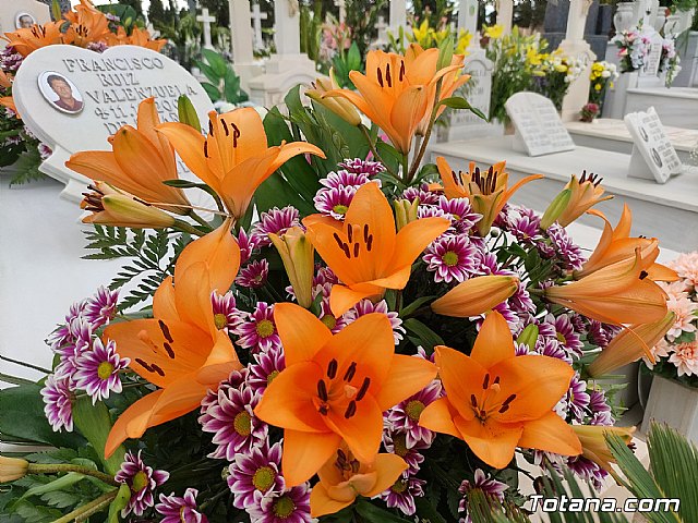 Da de Todos los Santos 2021 - 186