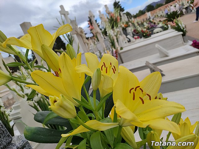 Da de Todos los Santos 2021 - 217