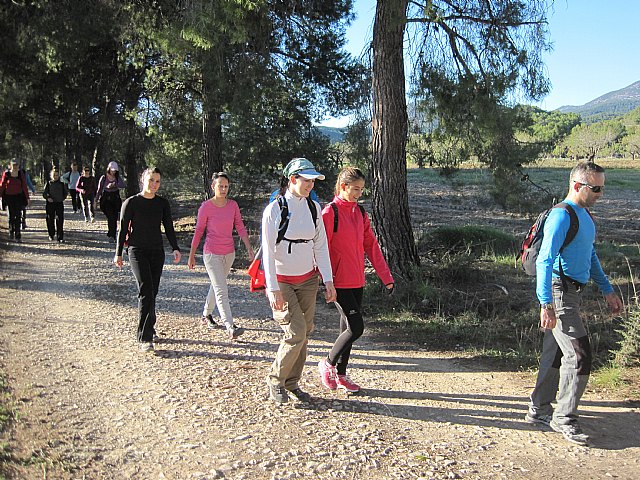 Programa de senderismo. Mula - Bullas - 19