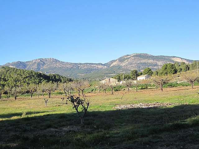 Programa de senderismo. Mula - Bullas - 22