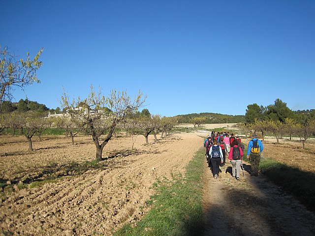 Programa de senderismo. Mula - Bullas - 23