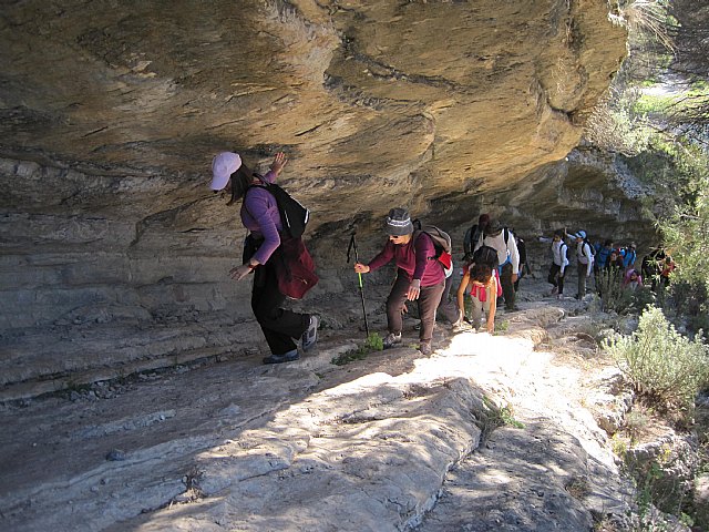 Programa de senderismo. Mula - Bullas - 49