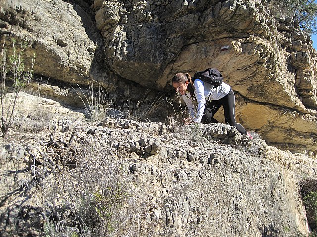 Programa de senderismo. Mula - Bullas - 65