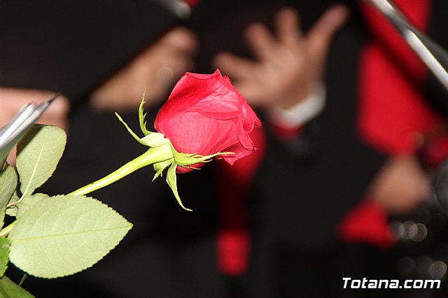 Serenata a Santa Eulalia - Totana 2019 - 80
