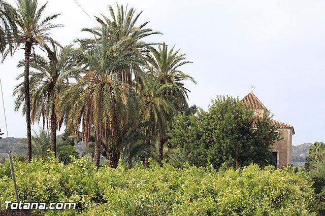 Romera extraordinaria Santa Eulalia - 12 abril 2015 - 83