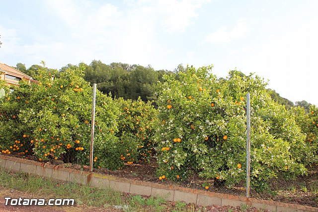 Romera extraordinaria Santa Eulalia - 12 abril 2015 - 176