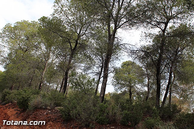 Romera extraordinaria Santa Eulalia - 12 abril 2015 - 180