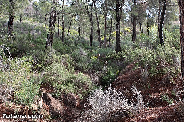 Romera extraordinaria Santa Eulalia - 12 abril 2015 - 182