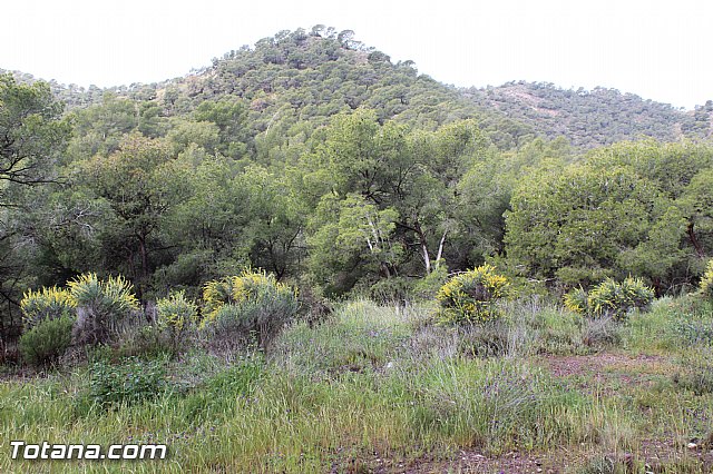 Romera extraordinaria Santa Eulalia - 12 abril 2015 - 186