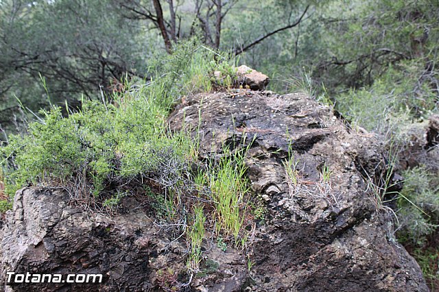 Romera extraordinaria Santa Eulalia - 12 abril 2015 - 192