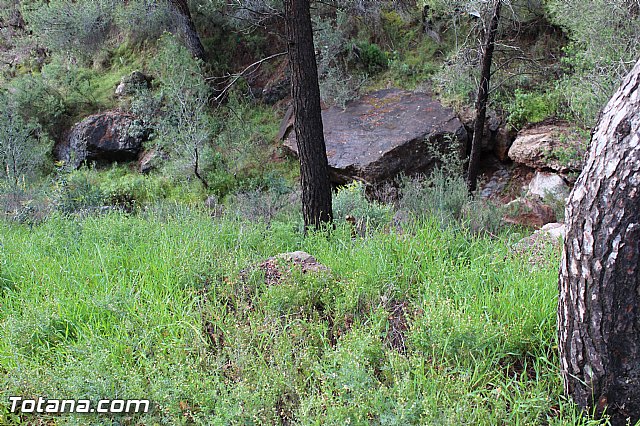 Romera extraordinaria Santa Eulalia - 12 abril 2015 - 193