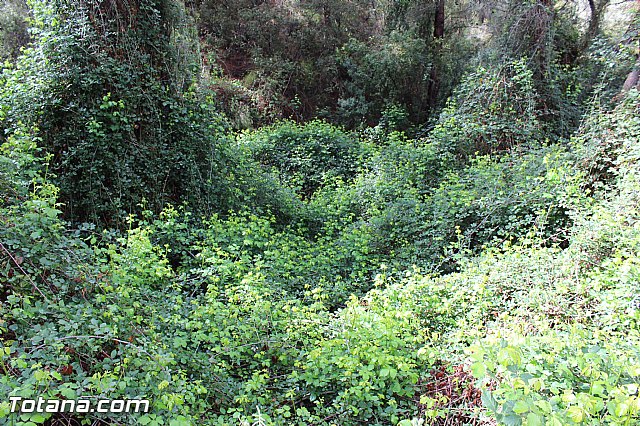 Romera extraordinaria Santa Eulalia - 12 abril 2015 - 208