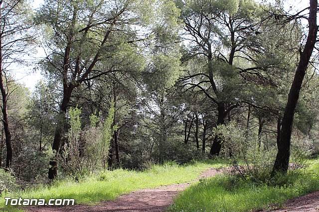 Romera extraordinaria Santa Eulalia - 12 abril 2015 - 217