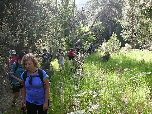 Viaje a la Sierra del Segura del Club Senderista de Totana - 5