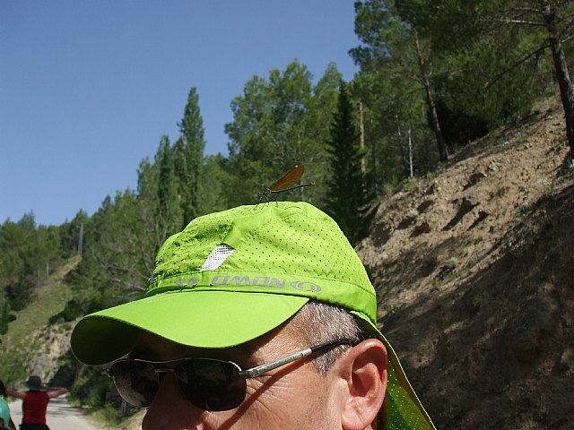 Viaje a la Sierra del Segura del Club Senderista de Totana - 83