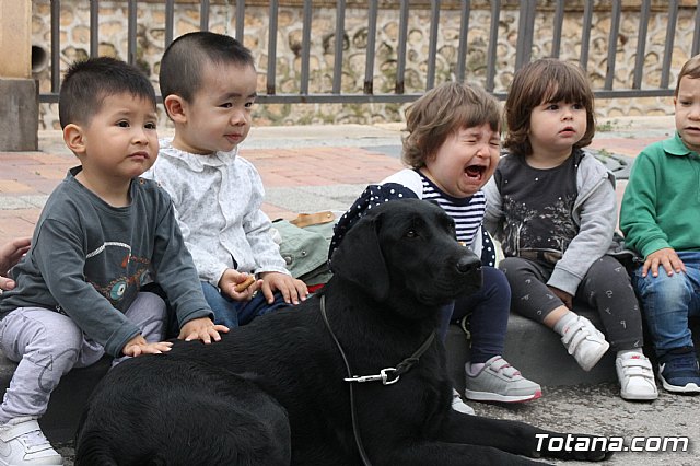 Simulacro de emergencias en la Escuela  Infantil Clara Campoamor 2018 - 10