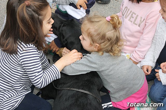 Simulacro de emergencias en la Escuela  Infantil Clara Campoamor 2018 - 53