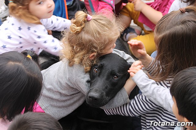 Simulacro de emergencias en la Escuela  Infantil Clara Campoamor 2018 - 54