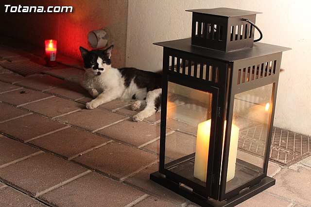 Velada entre Sombras - Asociacin cultural 