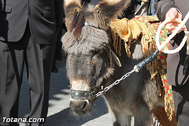 Domingo de Ramos - Procesin San Roque, Convento - Semana Santa 2016 - 100