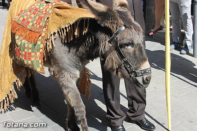 Domingo de Ramos - Procesin San Roque, Convento - Semana Santa 2016 - 109
