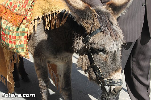 Domingo de Ramos - Procesin San Roque, Convento - Semana Santa 2016 - 110
