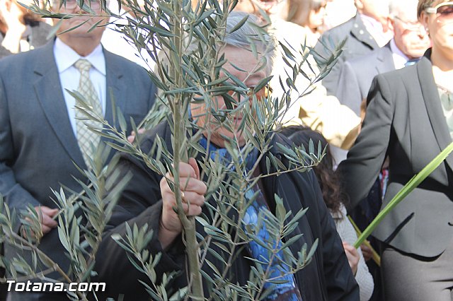 Domingo de Ramos - Procesin San Roque, Convento - Semana Santa 2016 - 174
