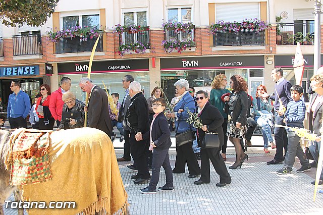 Domingo de Ramos - Procesin San Roque, Convento - Semana Santa 2016 - 277
