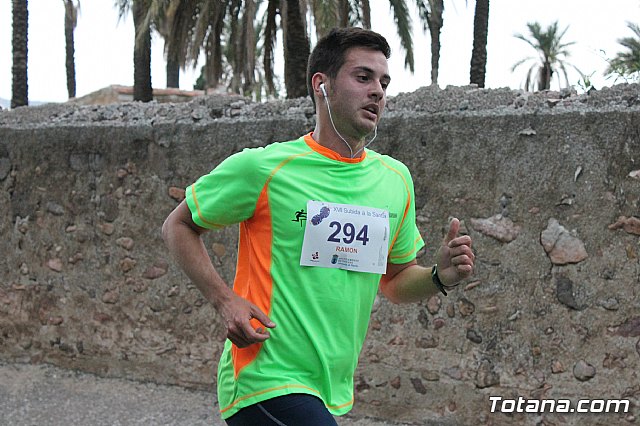 XVII edicin de la Subida a la Santa de atletismo. Totana 2013 - 325