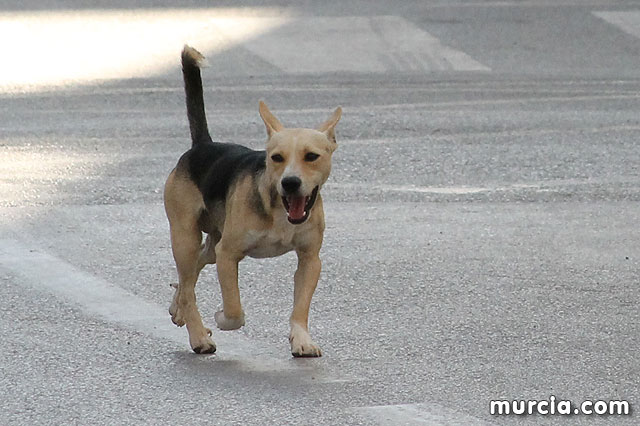 XVI Subida a La Santa - Atletismo - 89