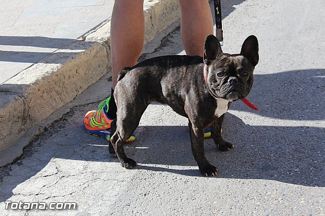 Subida a la Santa 2015 (Atletismo) - 79