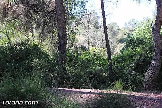 Subida a la Santa 2015 (Atletismo) - 384